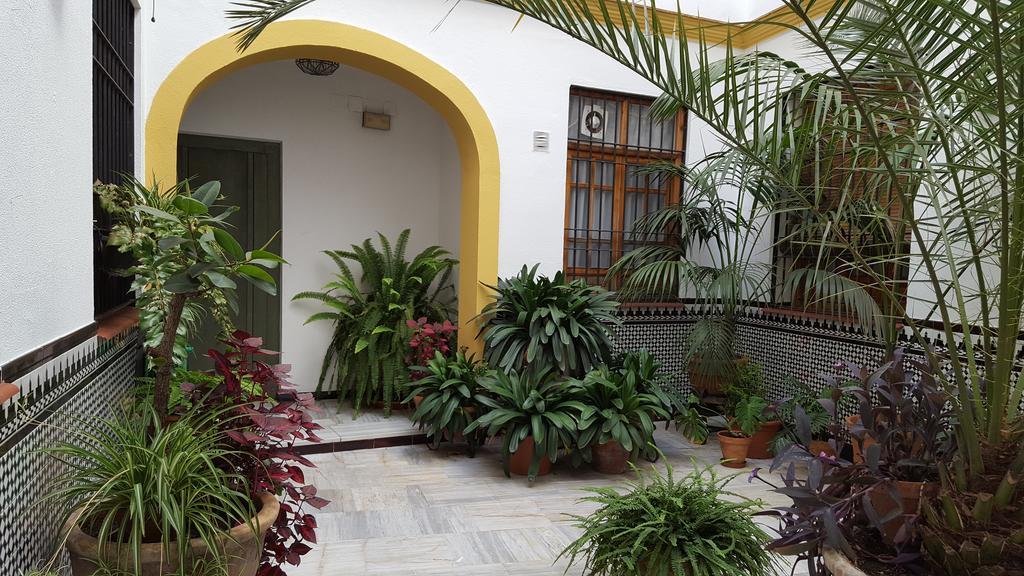 Casa Tipica Cordobesa Lägenhet Córdoba Exteriör bild